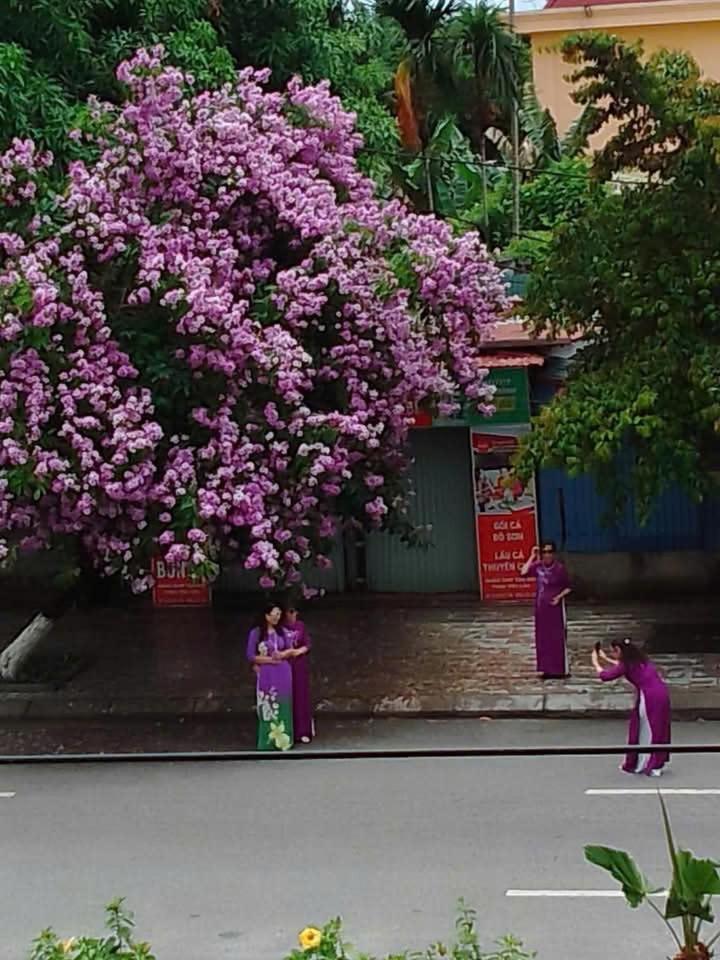 Quang Minh Hotel Ðố Sơn Exterior foto